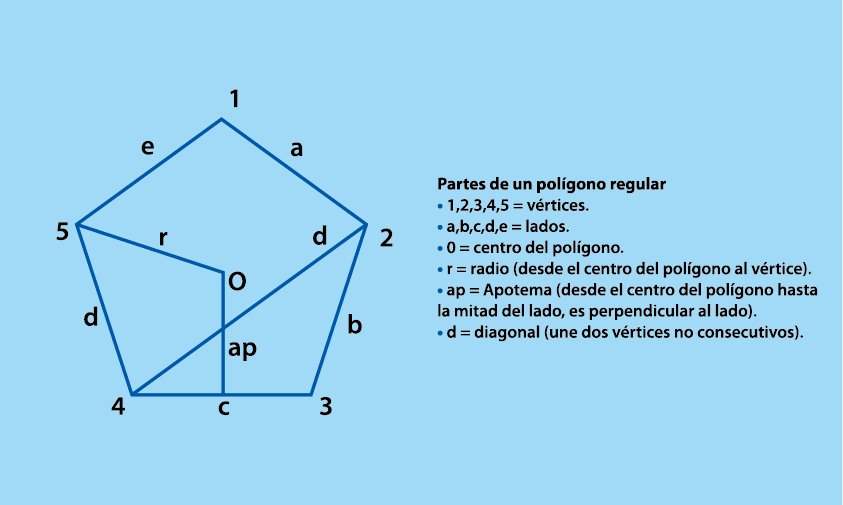 Matematica-F6-01-los poligonos_f8